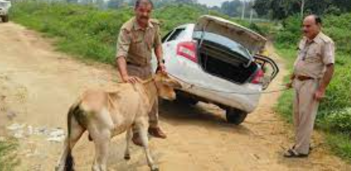 Screenshot_2024_0219_223856