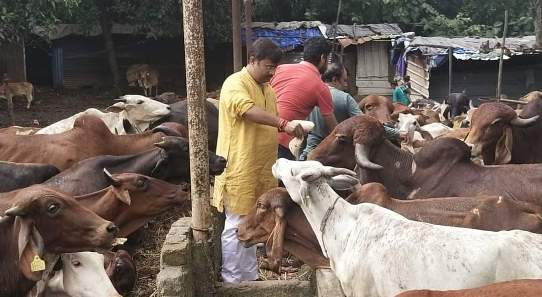 नि:स्वार्थ गौसेवा की मिसाल है , गौ सेवार्थ चैरिटेबल ट्रस्ट 11 Screenshot 2024 0423 202320