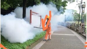 New Virus Outbreak In China: What To Know About The Chikungunya Virus 2 IMG 20250807 093508