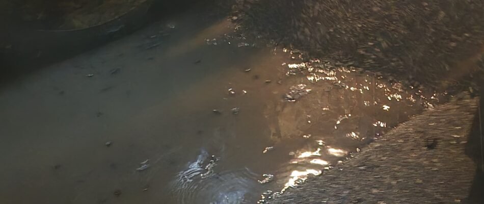 सड़क निर्माण में भ्रष्टाचार—जनता के भरोसे पर चोट , राष्ट्रीय राजमार्ग पर भ्रष्टाचार के बादल: बारिश में डामर बिछाने से उठे सवाल 3 IMG 20251028 WA0064