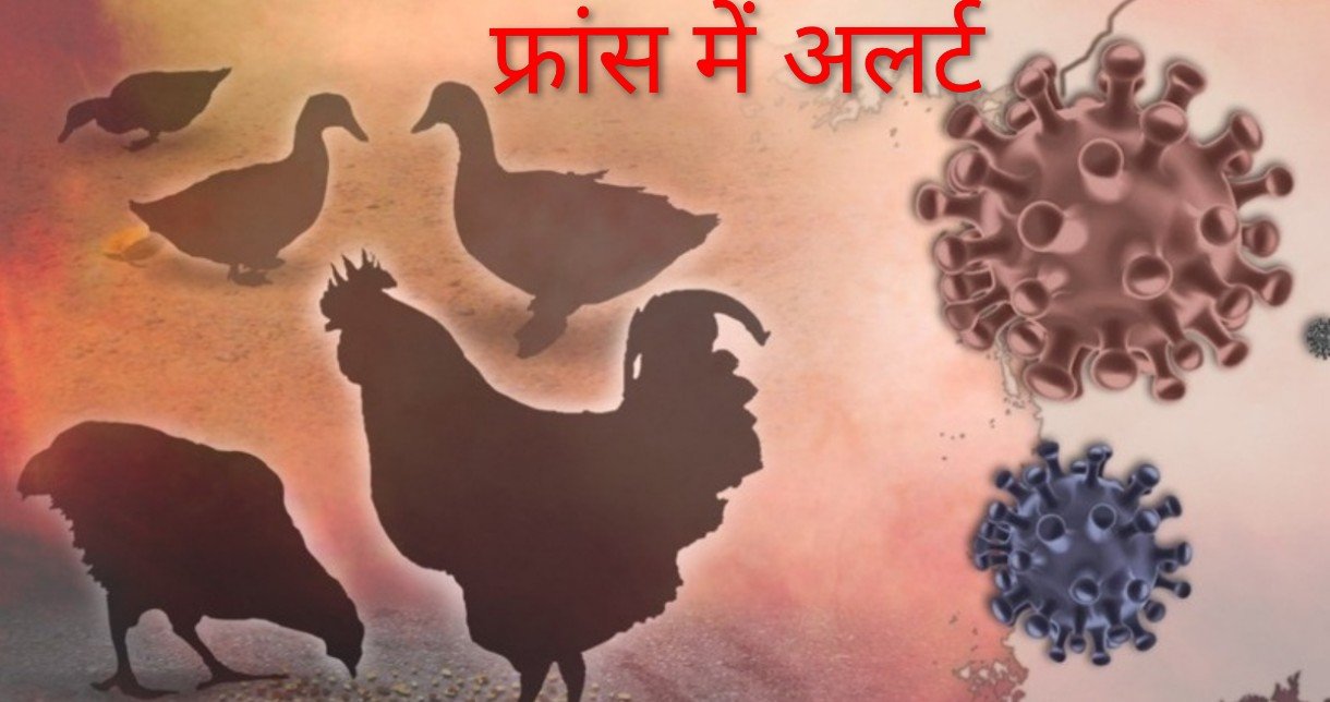 Screenshot_20251023-212609_Chrome (1)