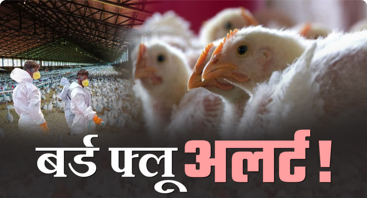 Screenshot 20251023 213335 Files by Google