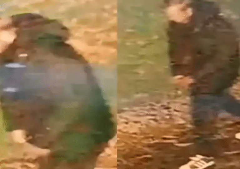 Screenshot_20251027-123927_Perplexity